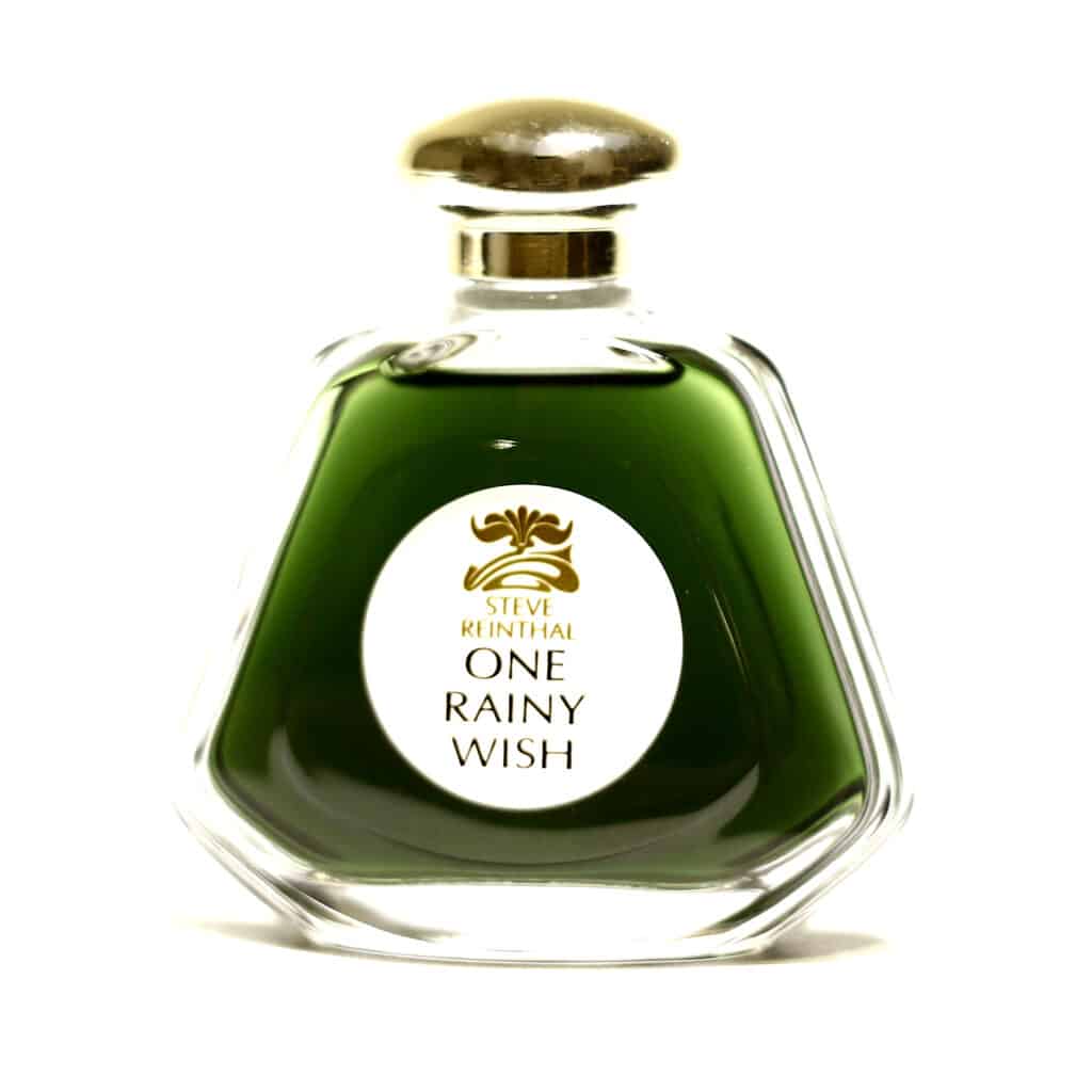 one-rainy-wish-teone-reinthal