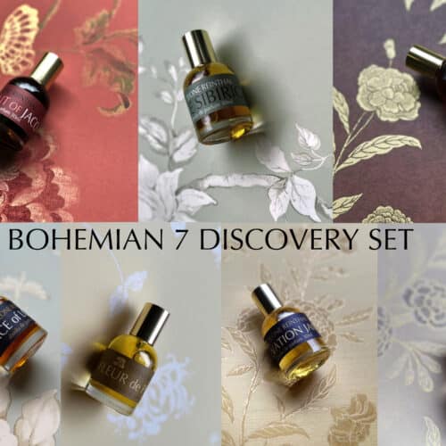 BOHEMIAN DISCOVERY POSTER