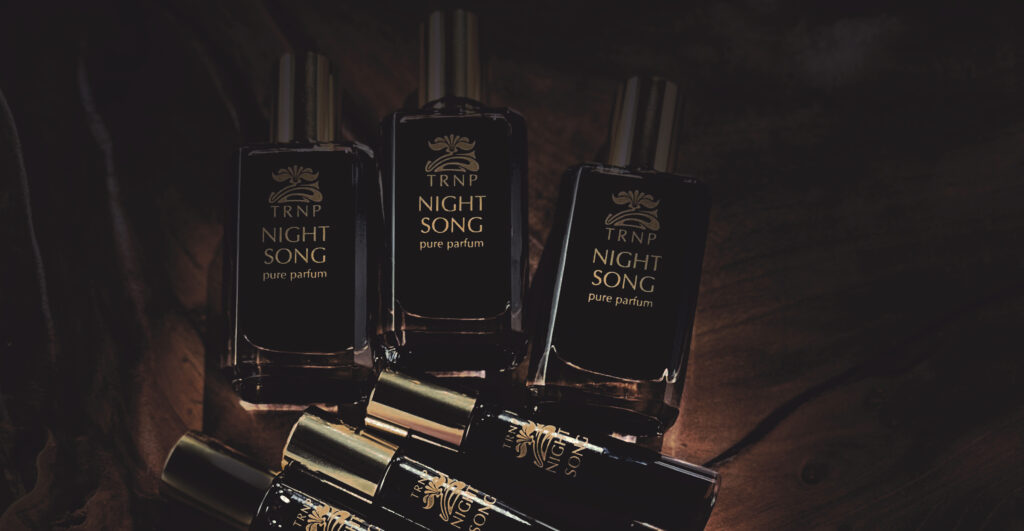 Night Song Banner
