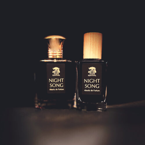 Night Song Absolu Teone Reinthal 2025